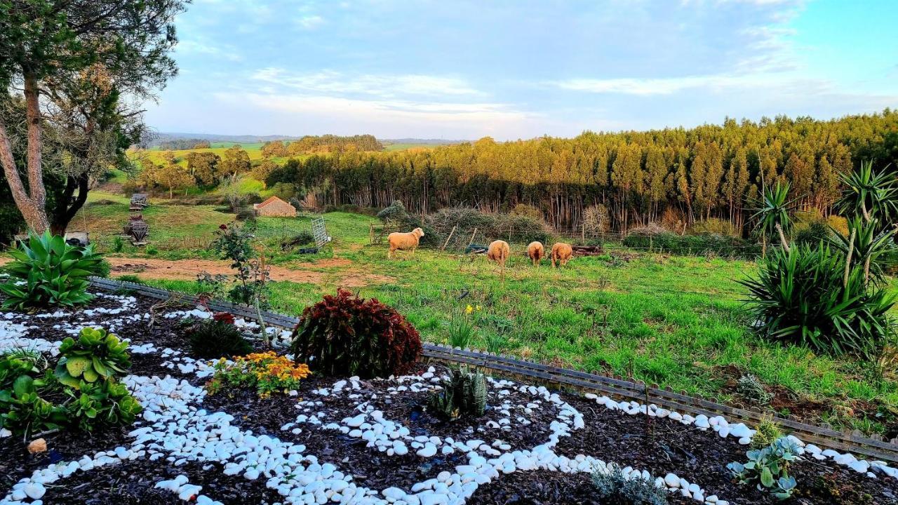 Herdade Monte Novo Do Pocinho Cercal do Alentejo Exterior foto