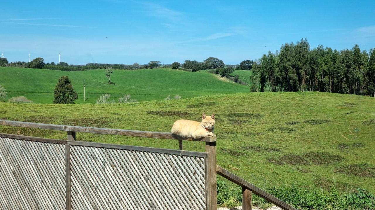 Herdade Monte Novo Do Pocinho Cercal do Alentejo Exterior foto
