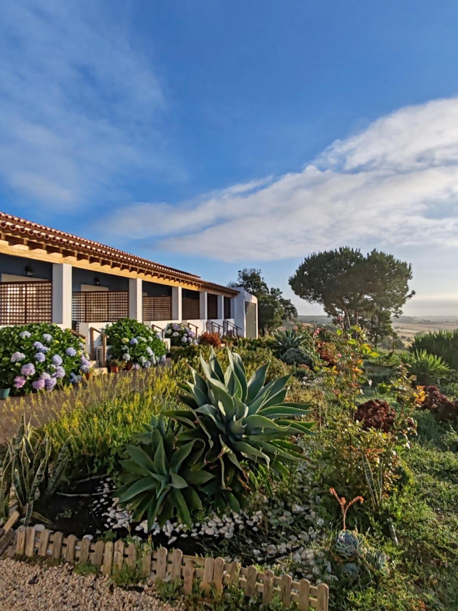 Herdade Monte Novo Do Pocinho Cercal do Alentejo Exterior foto